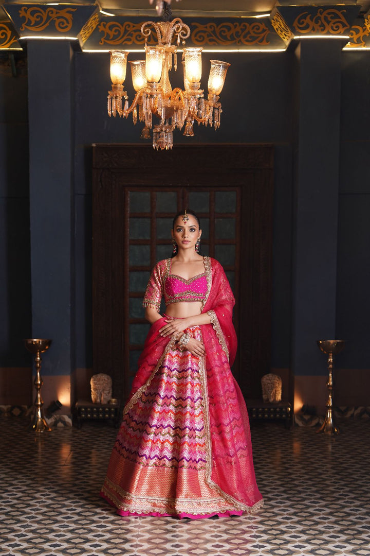 Amal Banarasi Silk Lehenga Set - Pink