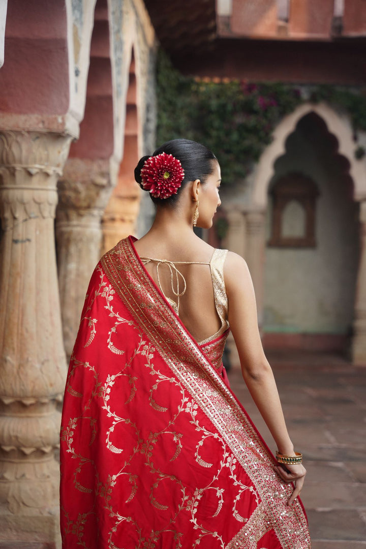 Raaya Banarasi Saree - Red