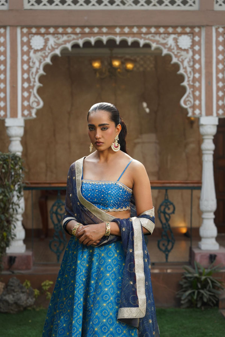 Jade Printed Lehenga Set - Blue