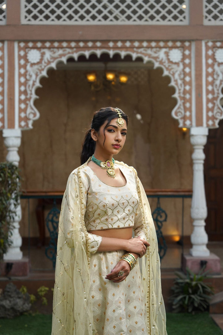 Amani Silk Lehenga Set-Ivory