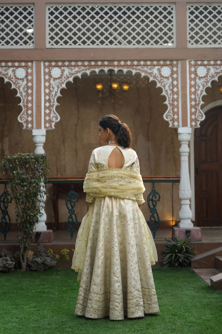 Amani Silk Lehenga Set-Ivory