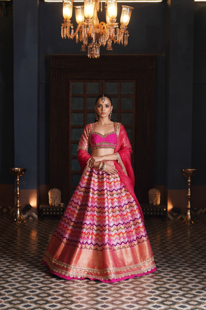 Amal Banarasi Silk Lehenga Set - Pink