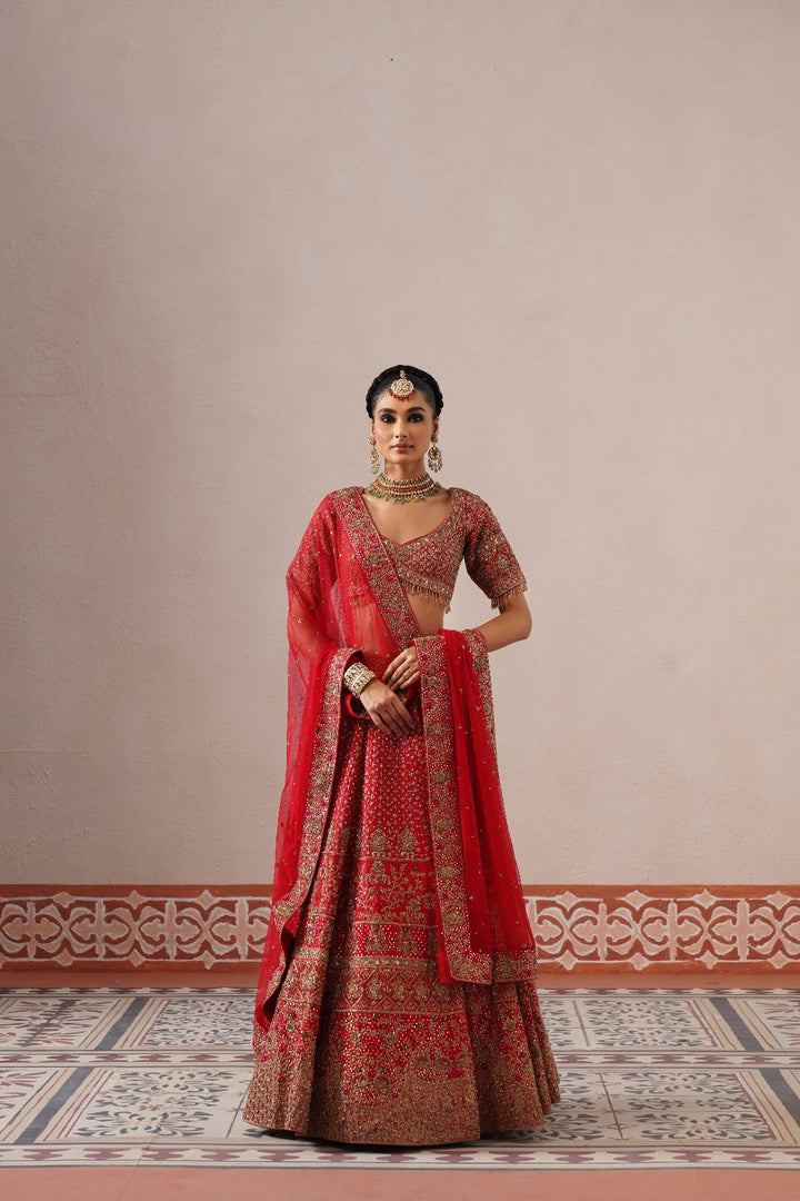 Surea Lehenga/Choli/Dupatta