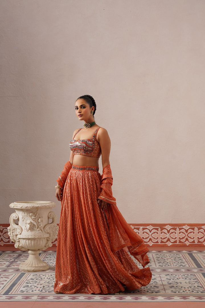 Aris Lehenga Set
