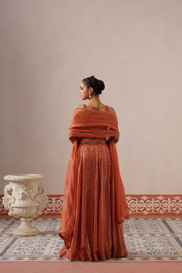Aris Lehenga Set