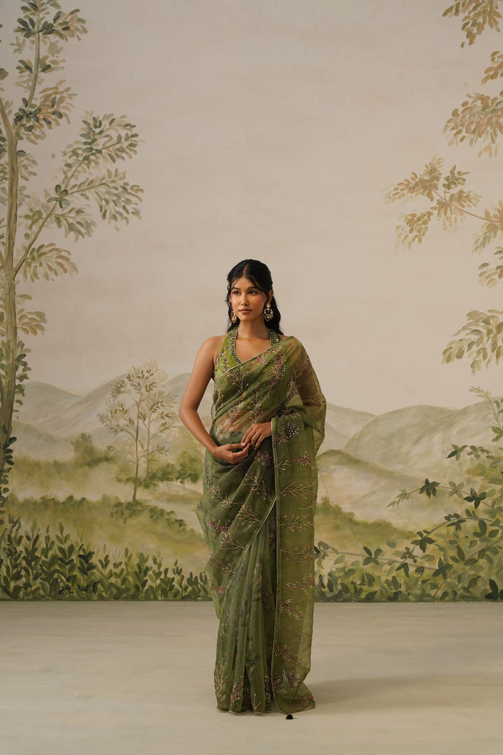 Elina Saree Set