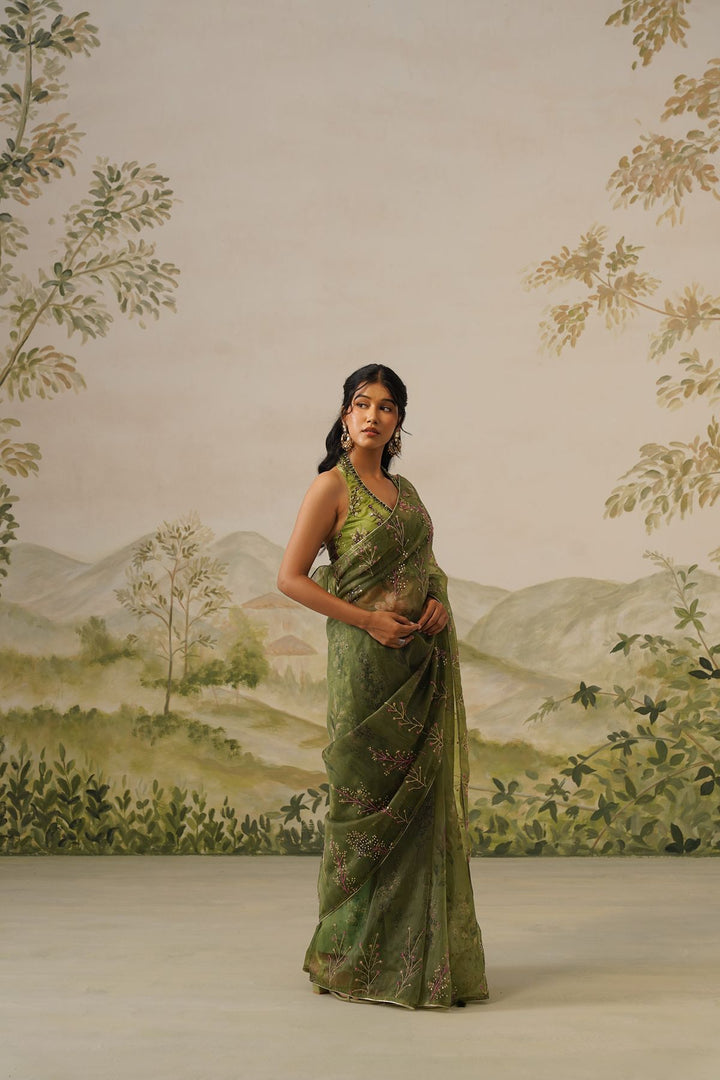 Elina Saree Set