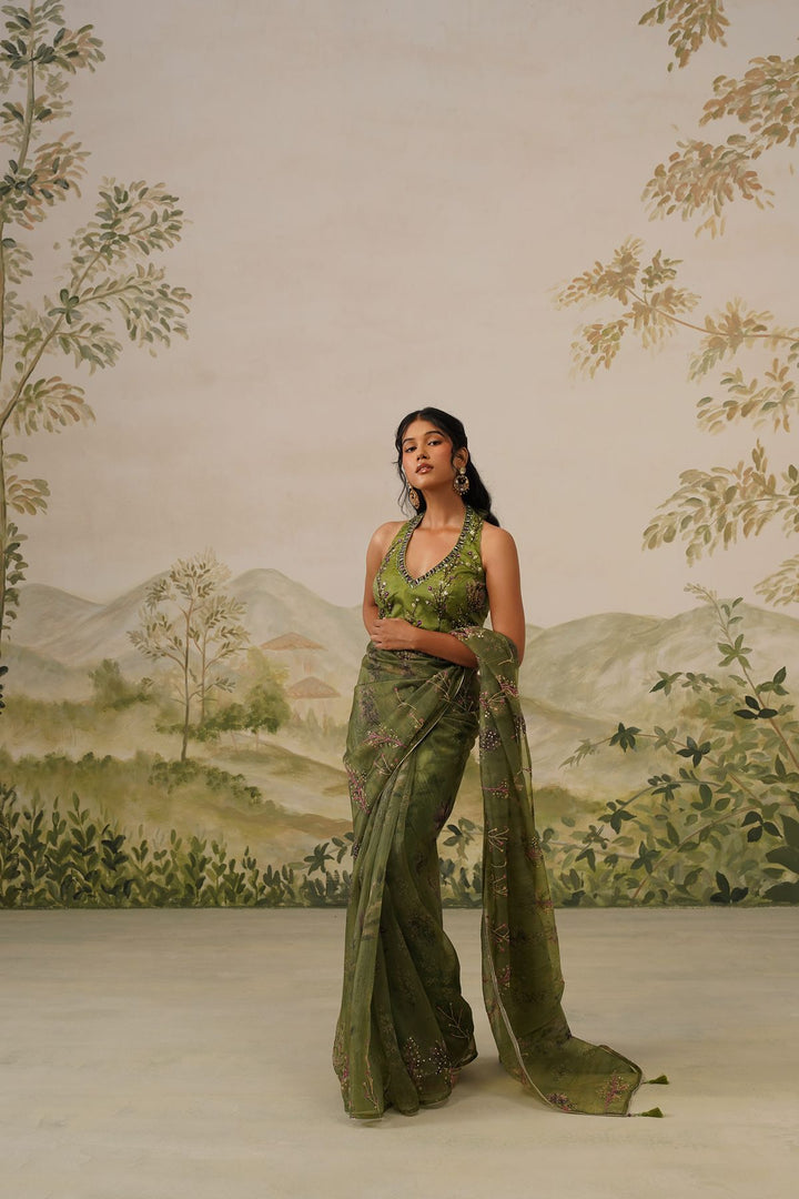 Elina Saree Set
